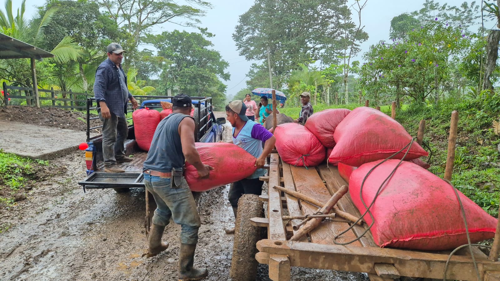 Inauguración de 03 km de Camino entre las Comunidades de los Pintosy el Torno.